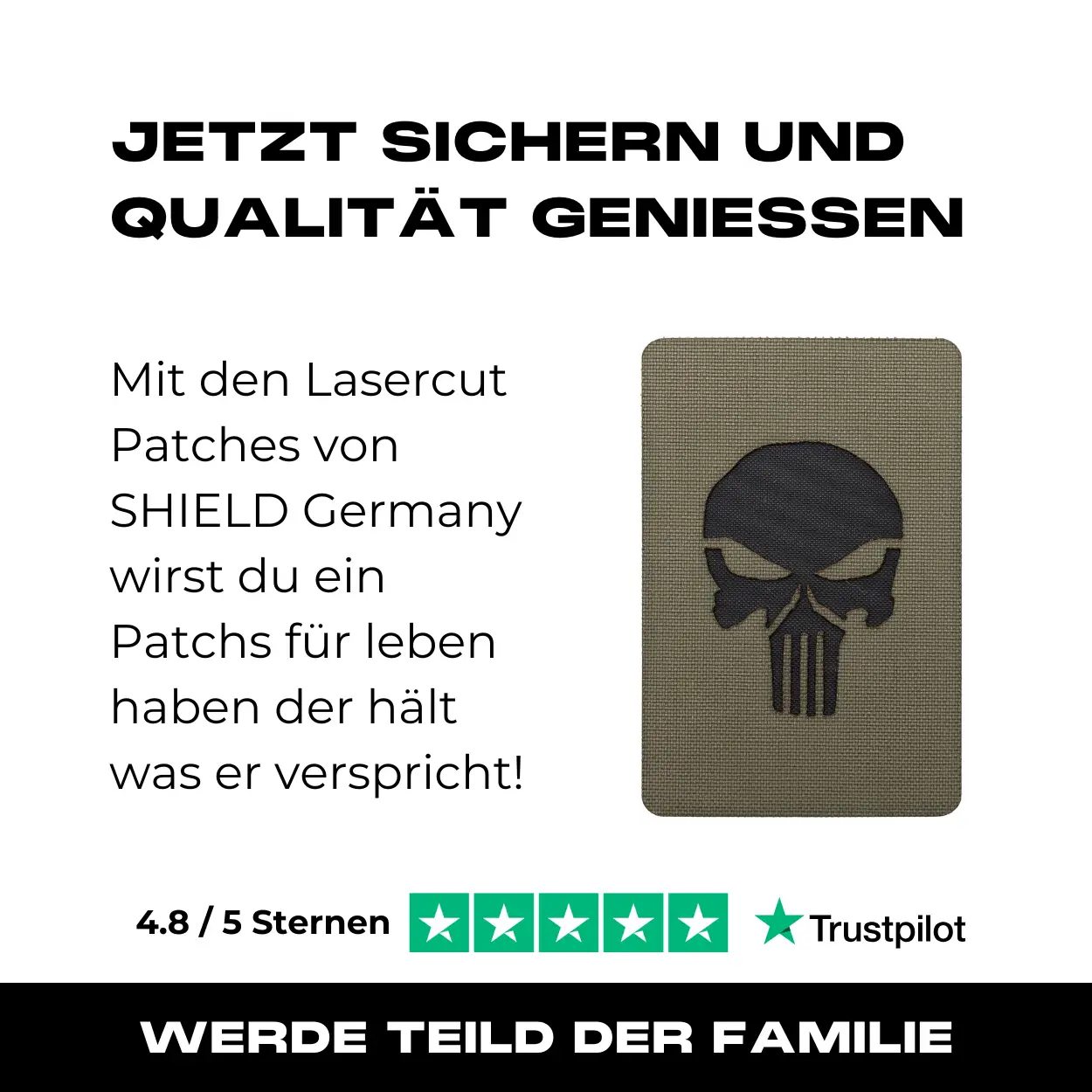 Lasercut Patch - Punisher - Steingrau Oliv - Image 7
